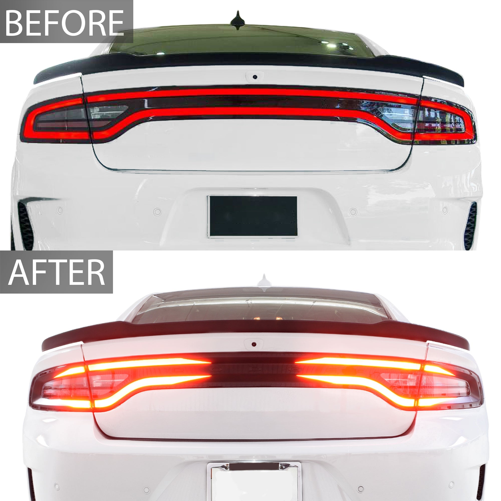 Tail Light Race Track Bat Vinyl Overlay Decal Sticker Film Fits Dodge Charger 2015 - 2022 - Bogar Tech Designs